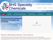 Tablet Screenshot of bhsmarketing.com